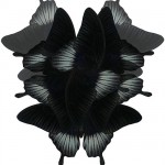 papilio-lowi