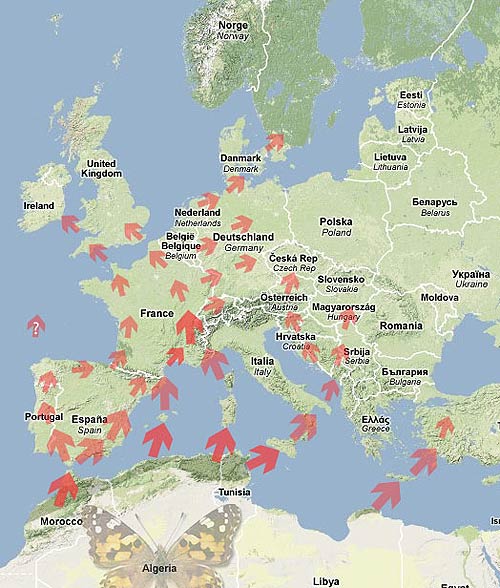 Carte des flux migratoire du Vanessa cardui