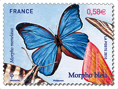 timbre morpho