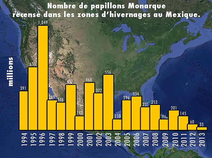 variation de la population de papillons Monarques depuis 1994