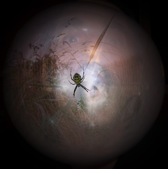 armée vegetale