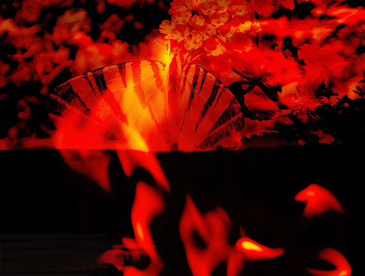 flambe