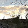 couche de soleil